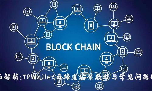 全面解析：TPWallet马蹄莲安装教程与常见问题解答