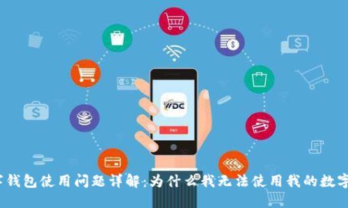 : 数字钱包使用问题详解：为什么我无法使用我的数字钱包？