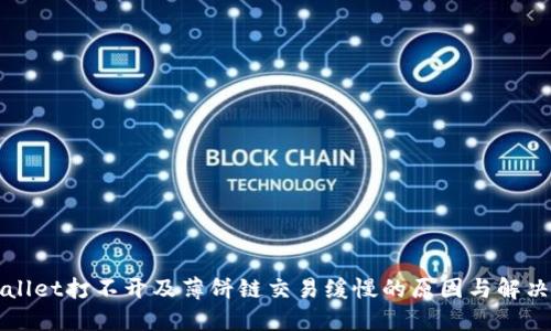 TPWallet打不开及薄饼链交易缓慢的原因与解决办法