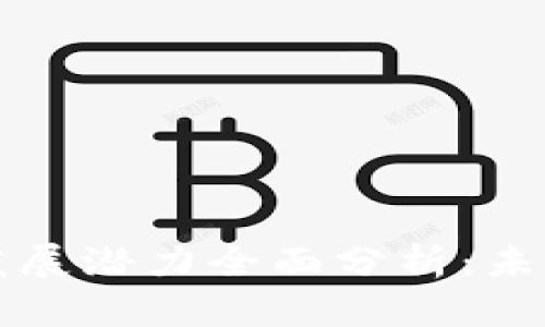 区块链钱包发展潜力全面分析：未来趋势与挑战