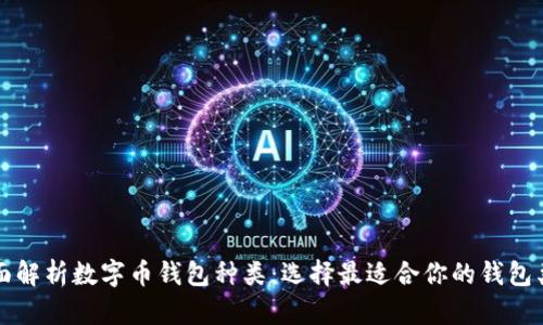 全面解析数字币钱包种类：选择最适合你的钱包类型