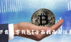如何下载数字钱包？全面