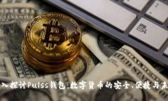 深入探讨Pulss钱包：数字货