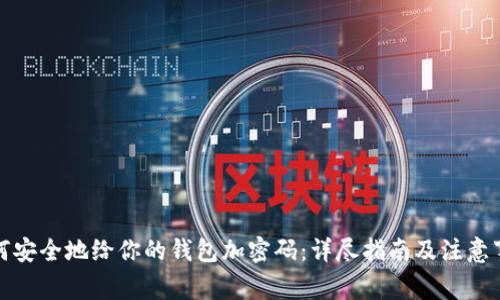 如何安全地给你的钱包加密码：详尽指南及注意事项