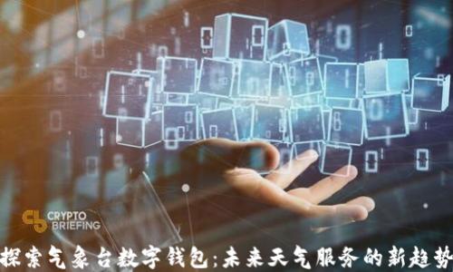 
探索气象台数字钱包：未来天气服务的新趋势
