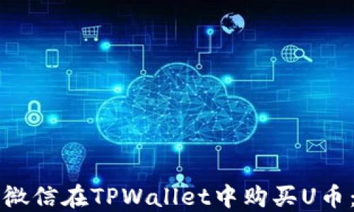 
如何通过微信在TPWallet中购买U币：完整指南