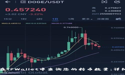 如何在TPWallet中查询您的持币数量：详细指南