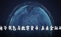 深入了解电子钱包与数字货币：未来金融的革命