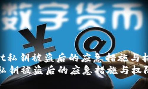 : 处理TPWallet私钥被盗后的应急措施与权限重设详解  
处理TPWallet私钥被盗后的应急措施与权限重设详解
