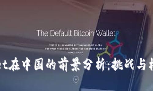 TPWallet在中国的前景分析：挑战与机遇并存