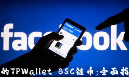 
如何找回丢失的TPWallet BSC链币：全面指南与操作步骤