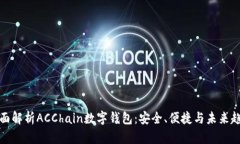 全面解析ACChain数字钱包：