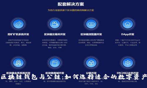 深入了解区块链钱包与公链：如何选择适合的数字资产管理工具