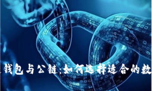 深入了解区块链钱包与公链：如何选择适合的数字资产管理工具