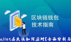 面对TPWallet丢失该如何应对