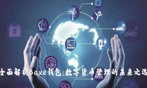 全面解析Baxe钱包：数字货币管理的未来之选
