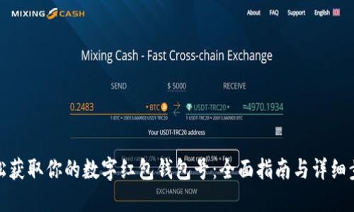 轻松获取你的数字红包钱包号：全面指南与详细步骤