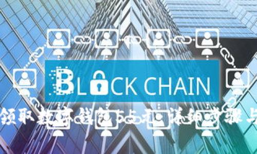 如何轻松领取数字钱包55元：详细步骤与注意事项