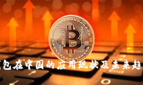数字钱包在中国的应用现状及未来趋势分析