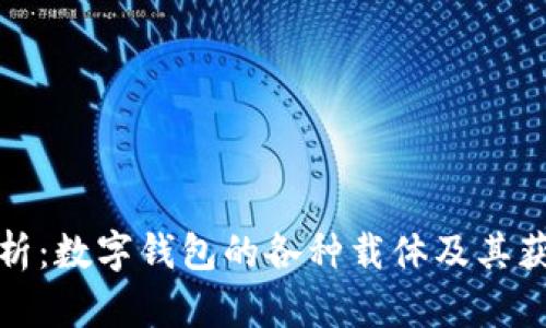 全面解析：数字钱包的各种载体及其获取途径