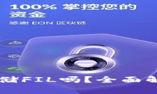 TPWallet能存储FIL吗？全面解析与实用指南