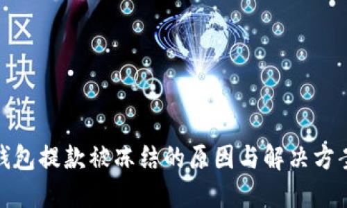 数字钱包提款被冻结的原因与解决方案详解