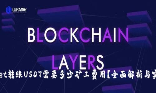 TPWallet转账USDT需要多少矿工费用？全面解析与实用指南