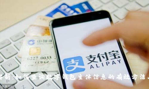 全面解析：如何查询数字钱包主体信息的有效方法与技巧