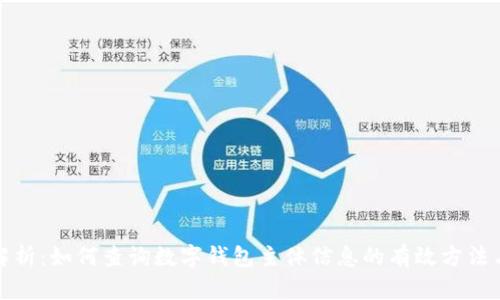 全面解析：如何查询数字钱包主体信息的有效方法与技巧