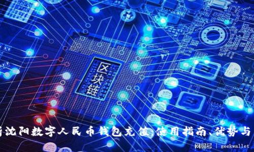 全面解析沈阳数字人民币钱包充值：使用指南、优势与未来展望
