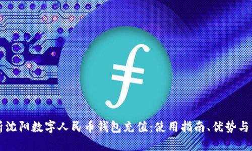 全面解析沈阳数字人民币钱包充值：使用指南、优势与未来展望