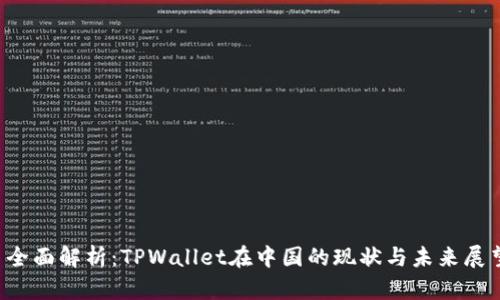  全面解析：TPWallet在中国的现状与未来展望