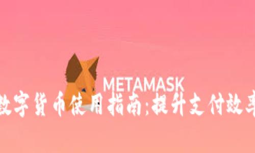 企业钱包数字货币使用指南：提升支付效率与安全性