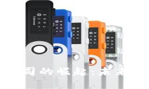 : 中国芯数字钱包公司的崛起：未来金融科技的中坚力量