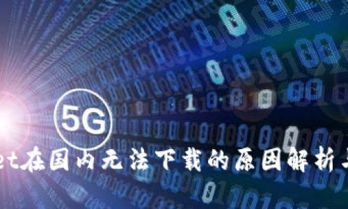  TP Wallet在国内无法下载的原因解析与解决方案