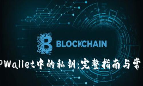 如何查看TPWallet中的私钥：完整指南与常见问题解答