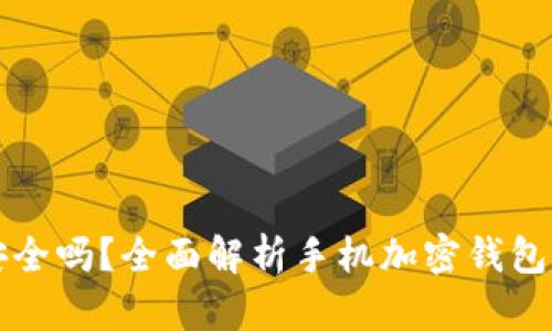 手机加密钱包安全吗？全面解析手机加密钱包的安全性与风险