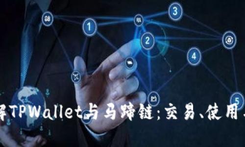 全方位了解TPWallet与马蹄链：交易、使用与未来展望