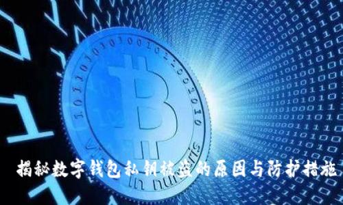  揭秘数字钱包私钥被盗的原因与防护措施
