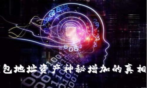 数字钱包地址资产神秘增加的真相与解析