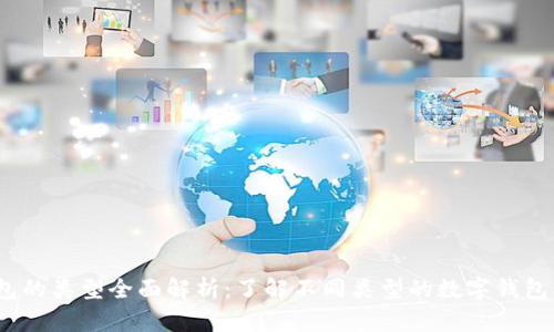 biaso数字钱包的类型全面解析：了解不同类型的数字钱包及其应用场景