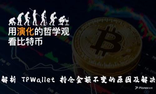 深入解析 TPWallet 持仓金额不变的原因及解决方案